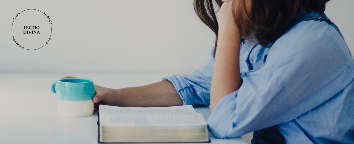 Robert Fergusson’s Bible Reading & Journaling Plan Collected