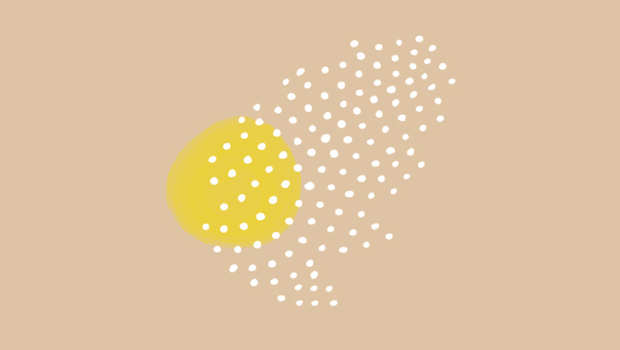 Seasons (From Seed To Sequoia)