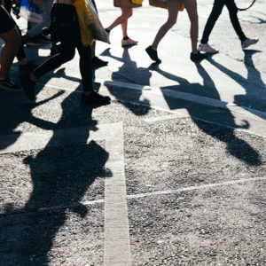 Partners in the Vision